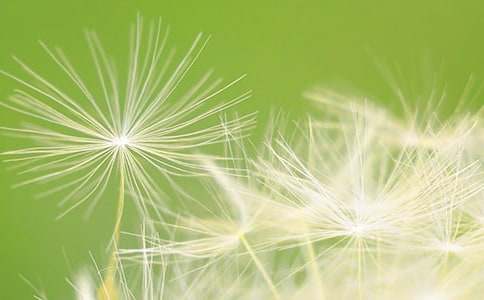 �ѹ�Ӣ�������ģ�ͨ��63ƪ��