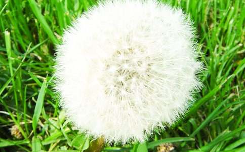 �ѹ�Ӣ����600��3ƪ