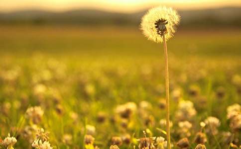 �ѹ�Ӣ�N������600��4ƪ