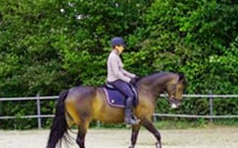 �����T���T�R����400����ƪ