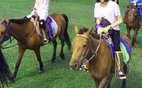 ����Ʒ���T�R���ąR����ƪ