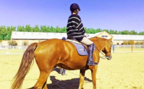 �W(xu��)�T�R���ģ�ͨ��44ƪ��