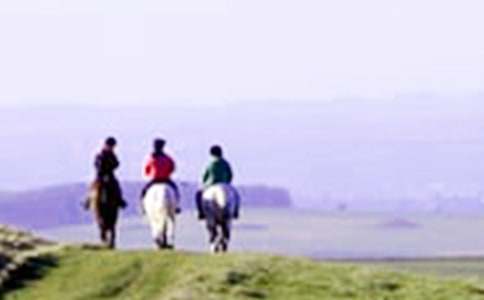 ���x�T�R����400�օR����ƪ