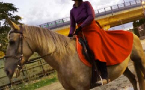 �T�R����500�֣���ԭ���T�R�����x22ƪ��