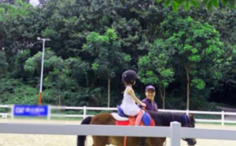 ���x�T�R����300�օR����ƪ