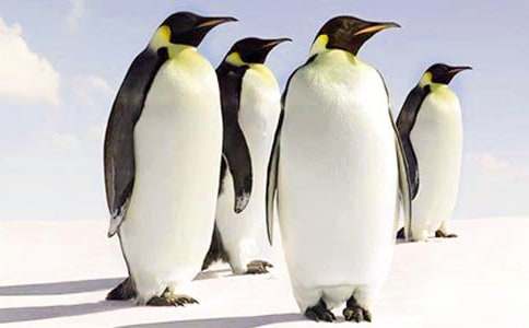 �ҵ�ë�qС���ZС�W(xu��)����