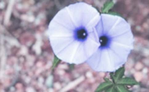 �^�젿��������