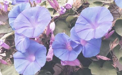 �^�젿�������꼉����