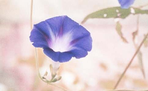 �^�젿ţ������(15ƪ)