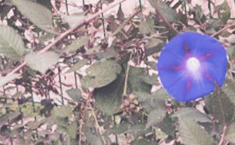 �Ҟ頿�������Є�(d��ng)����