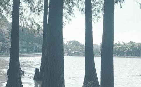 ���˵�ǧ��������