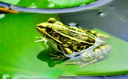 �P(gu��n)�����ܺ�Λρ����3ƪ