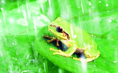 ���o(h��)���ܵ����ģ����x16ƪ��