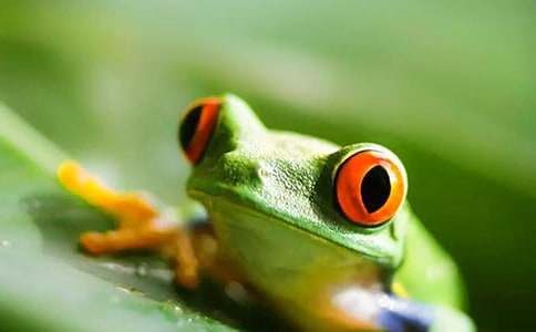 �������ܵ������~�Z