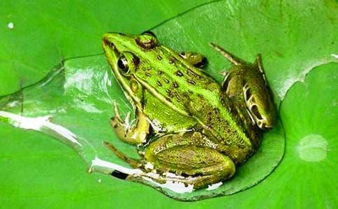 С���ܵĸ質ͯԒ����