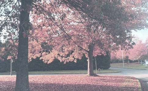 �����T���＾�������\��7ƪ