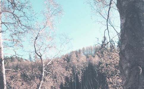 �Ґ��＾��������