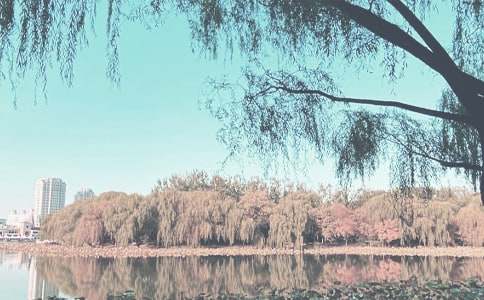 �茑�＾���~�Z(y��)��Ԋ(sh��)��