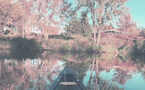 �P(gu��n)���＾���~�Z�R��