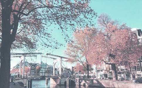 ����＾�W�ڽ̌WӋ�������x13ƪ��