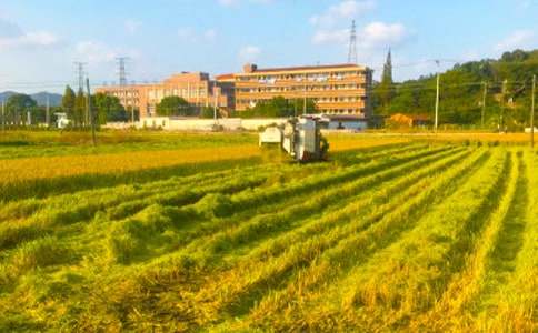 �y������������