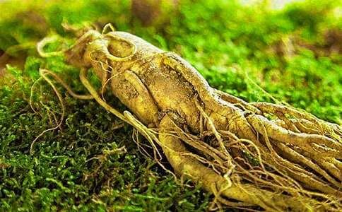 我發(fā)現(xiàn)了人參作文500字