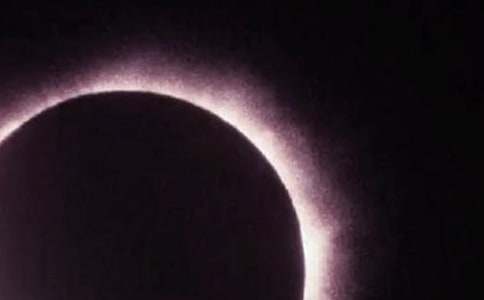 �P(gu��n)���^����ʳ������