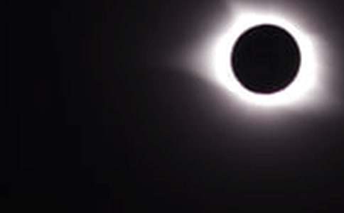 ��ʳ�����ģ�ͨ��31ƪ��