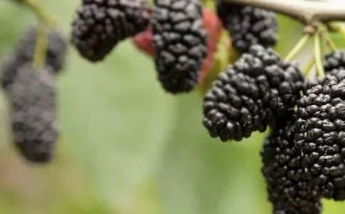 ժɣ������300��