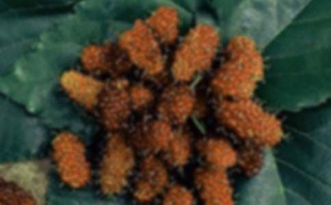 ��ɣ��600������