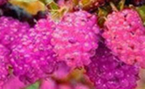 ժɣ������300��