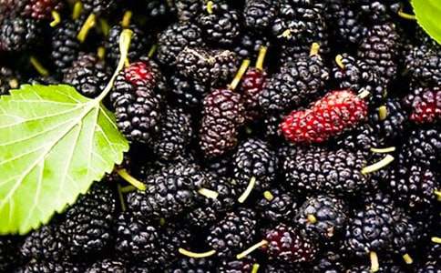 ɣ�ؼt͸�r(sh��)�S��һĨ�(y��ng)��ɢ��