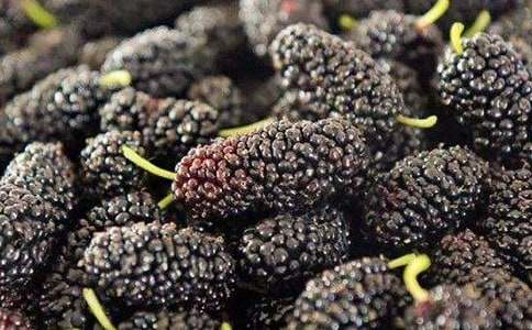 ɣ�ؘ�����ģ�ͨ��10ƪ��