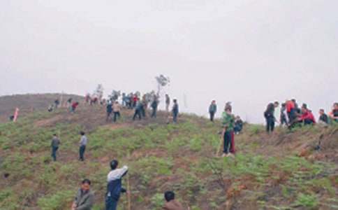 ��һ�νo������Ĺ����