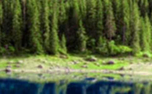 ɽˮ������