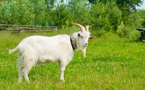 ��(xi��)��(d��ng)����ɽ�������600��