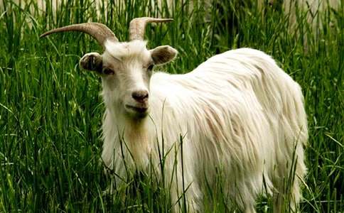 ɽ������600��3ƪ