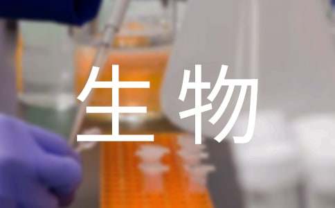 有趣的生物共棲現(xiàn)象教案設(shè)計(精選11篇)