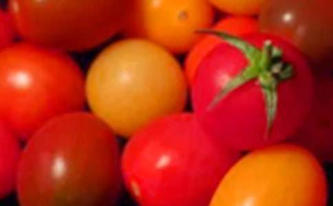 ʥŮ���ĠI�B(y��ng)�r(ji��)ֵ