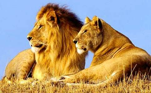 �����T(m��n)���{��ͯԒ(hu��)���İ�ƪ