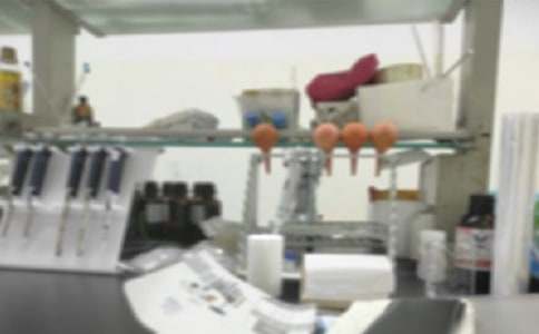 ��(sh��)�(y��n)�Ұ�ȫ�Ų��(b��o)��