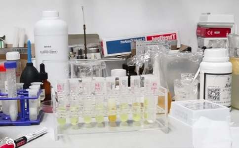 ���W(xu��)��(sh��)�(y��n)���Բ��Լm��(b��o)�棨ͨ��21ƪ��