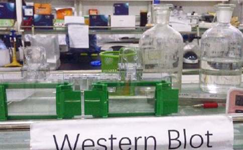 ��������U��ͬ5ƪ