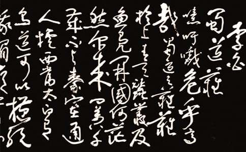 ������y����Ʒ�̰������x12ƪ��