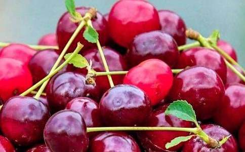 ˮ��ɫ��֮��(��i)��_С�W(xu��)����