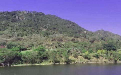 �P(gu��n)��ˮ������300��4ƪ