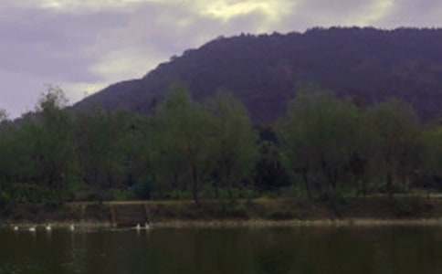 水庫作文600字(通用42篇)