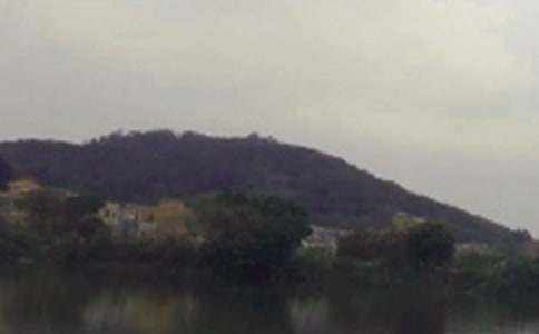 水庫(kù)作文300字四篇