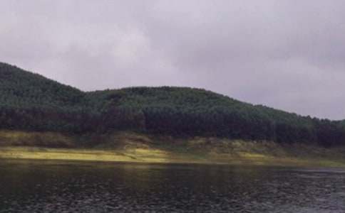 ���l(xi��ng)��ˮ��С�W(xu��)����