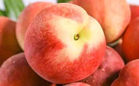 我愛家鄉(xiāng)的水蜜桃作文14篇